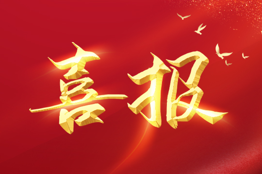 喜报 | 熊猫体育荣登2024粤港澳大湾区企业创新力榜单